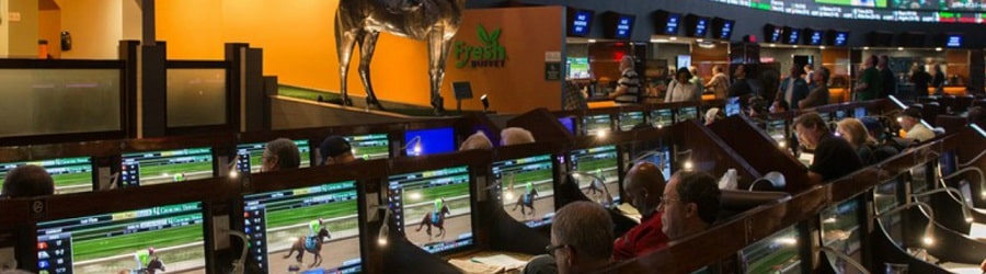 What are the different types of sports betting 